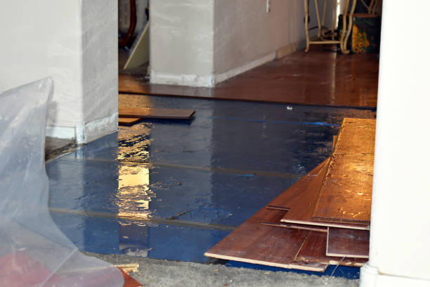 Professional Emergency Water Damage Restoration technician working in Campbell, OH